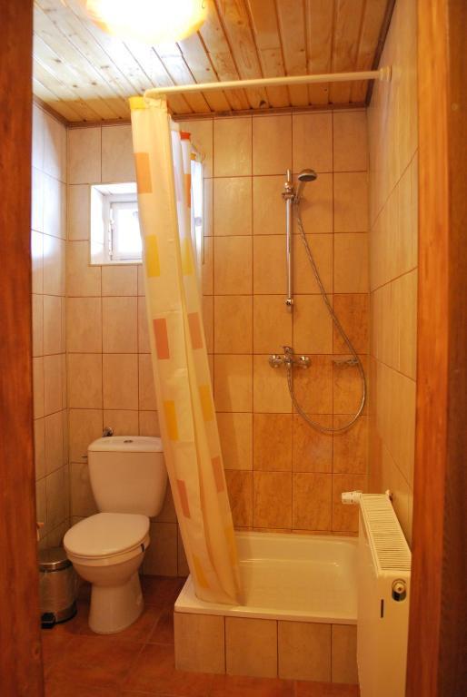 Pensiunea Alexandra Vatra Moldovitei Bilik gambar